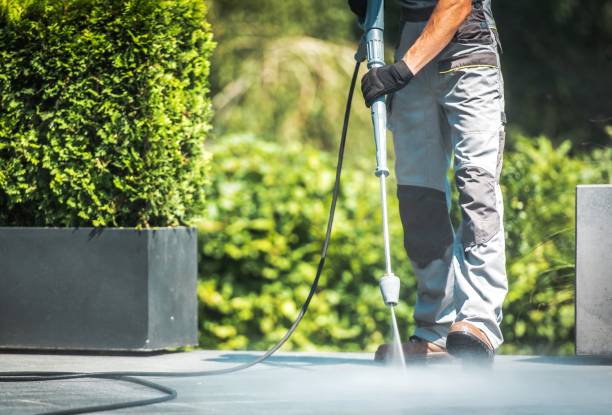 Best Sidewalk and Walkway Cleaning  in Cedaredge, CO